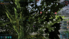 Screen-19-06-05-10-30-58.png