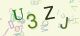 This is a captcha-picture. It is used to prevent mass-access by robots. (see: www.captcha.net)