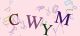 This is a captcha-picture. It is used to prevent mass-access by robots. (see: www.captcha.net)