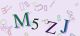 This is a captcha-picture. It is used to prevent mass-access by robots. (see: www.captcha.net)