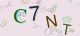 This is a captcha-picture. It is used to prevent mass-access by robots. (see: www.captcha.net)
