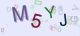 This is a captcha-picture. It is used to prevent mass-access by robots. (see: www.captcha.net)