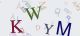 This is a captcha-picture. It is used to prevent mass-access by robots. (see: www.captcha.net)