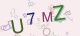This is a captcha-picture. It is used to prevent mass-access by robots. (see: www.captcha.net)