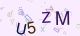 This is a captcha-picture. It is used to prevent mass-access by robots. (see: www.captcha.net)