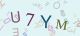 This is a captcha-picture. It is used to prevent mass-access by robots. (see: www.captcha.net)