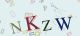 This is a captcha-picture. It is used to prevent mass-access by robots. (see: www.captcha.net)